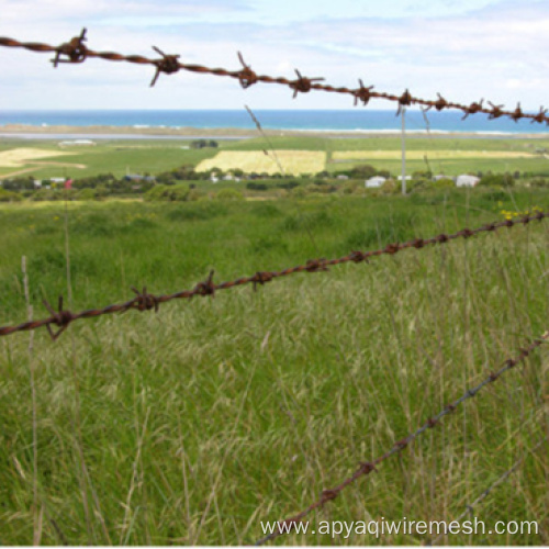 12 x12 Gauge Hot Dip Galvanized Barbed Wire